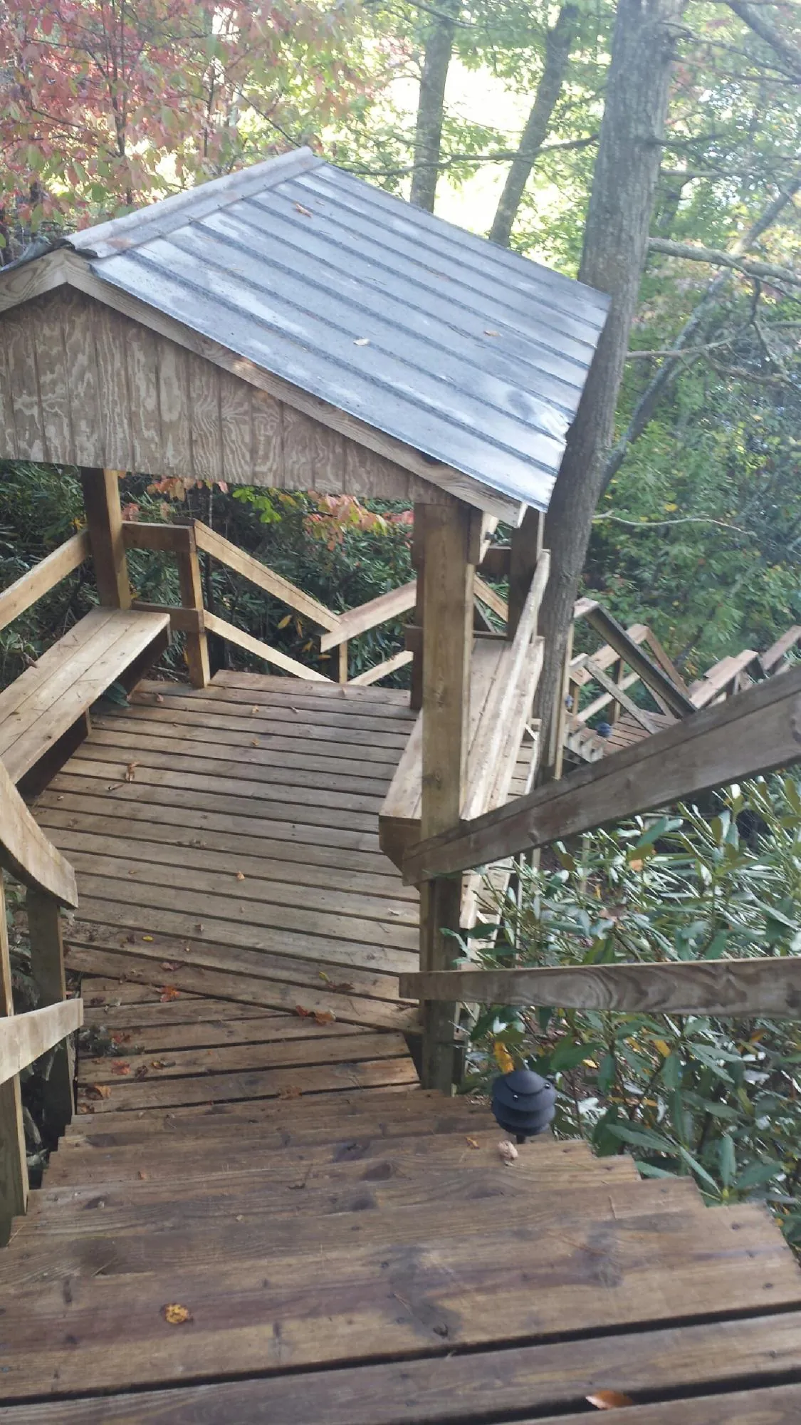 Metal roofed shelter over wooden steps on a wooded walkway — Skylight Repair & Installation work by our crew in Demorest
